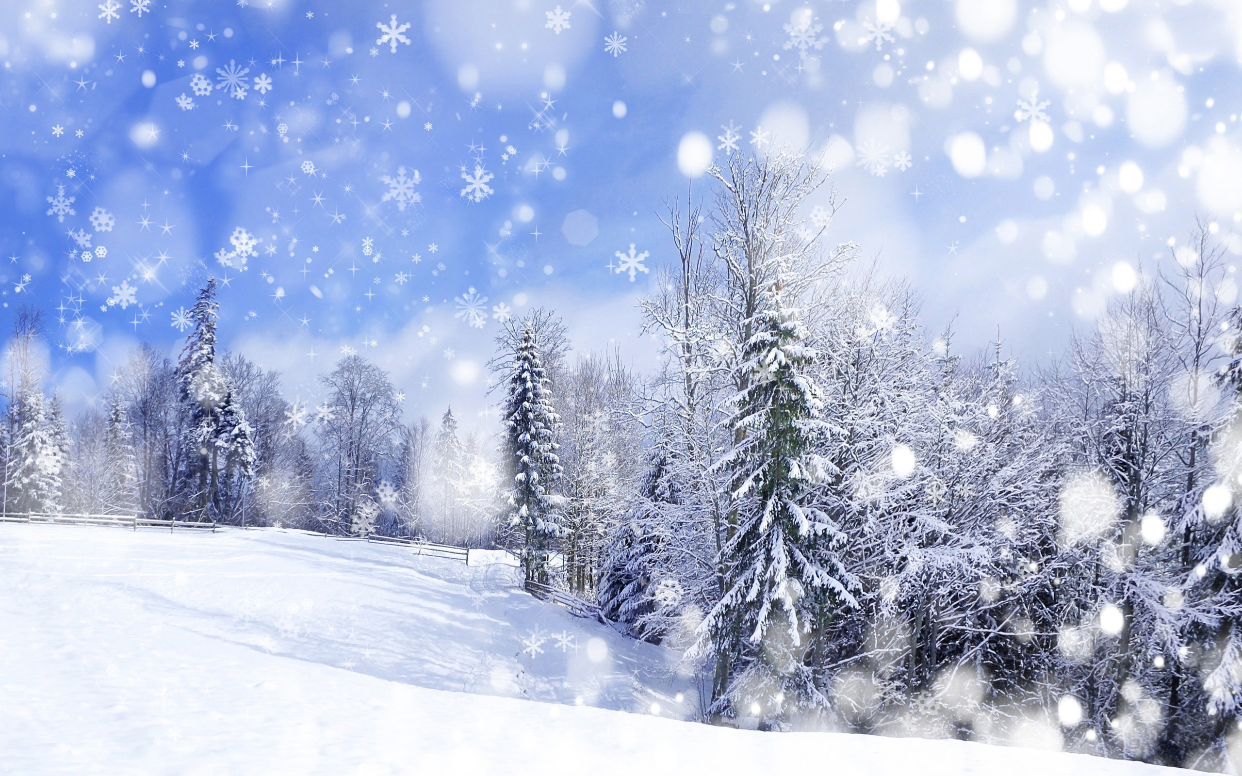winter-landscape.jpg